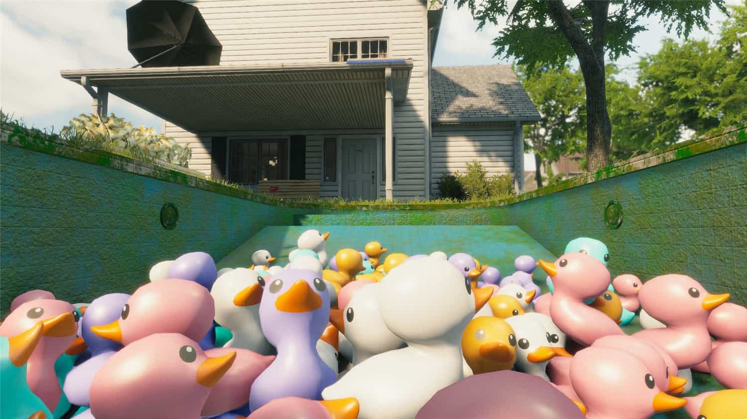 1715612829531309.jpg 泳池清洁模拟器/Pool Cleaning Simulator