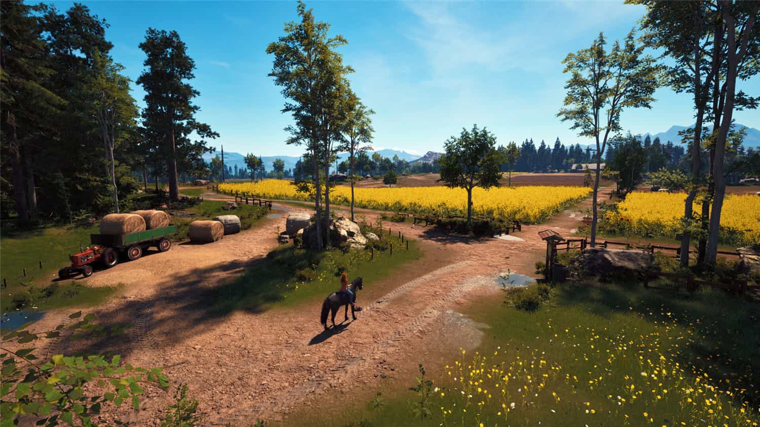 1718982763855849.jpg 风暴:深厚友谊的开始 重制版/Windstorm: Start of a Great Friendship - Remastered