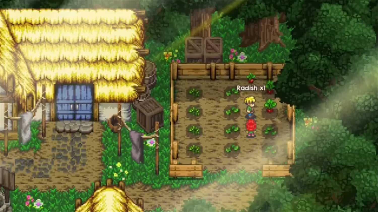 1697092332503745.jpg 丰饶之岛/Harvest Island