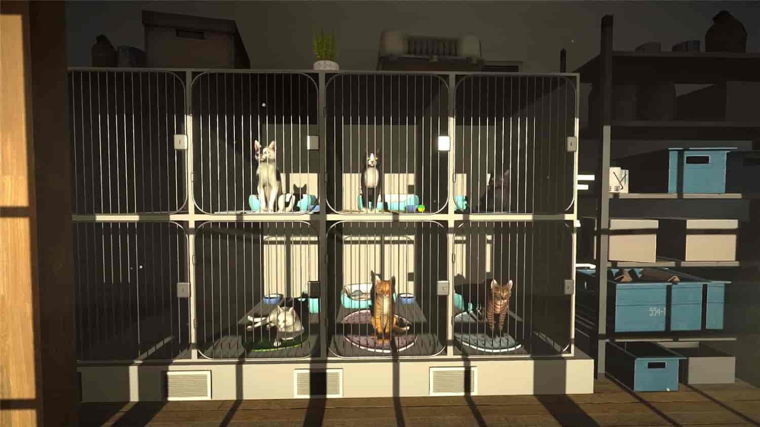 1726902080799886.jpg 冒牌猫谜/Copycat