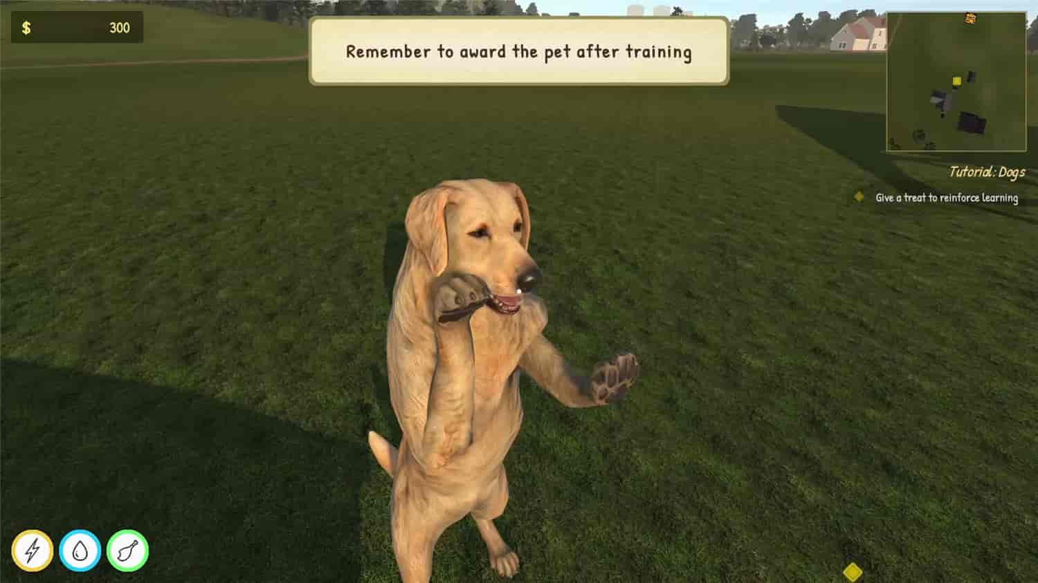1728485961101193.jpg 动物训导师模拟器/Animal Trainer Simulator