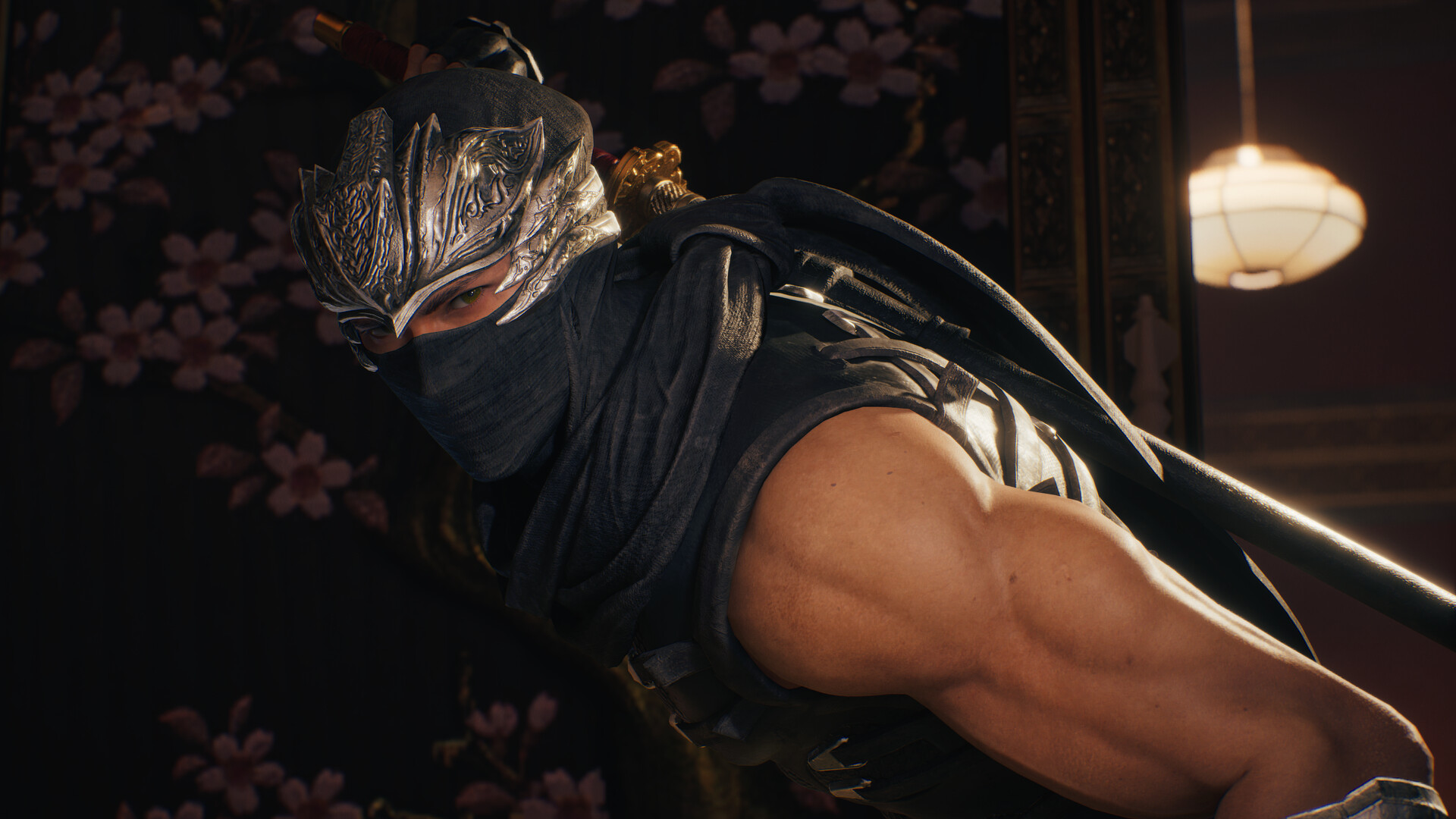 忍者龙剑传2:黑之章/NINJA GAIDEN 2 Black