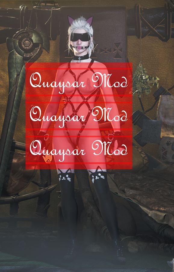 MHWS怪物猎人荒野MOD008:【女装外观】口球猫奴