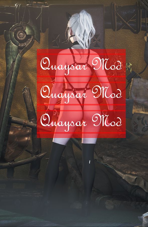 MHWS怪物猎人荒野MOD008:【女装外观】口球猫奴