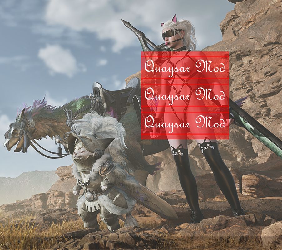 MHWS怪物猎人荒野MOD008:【女装外观】口球猫奴