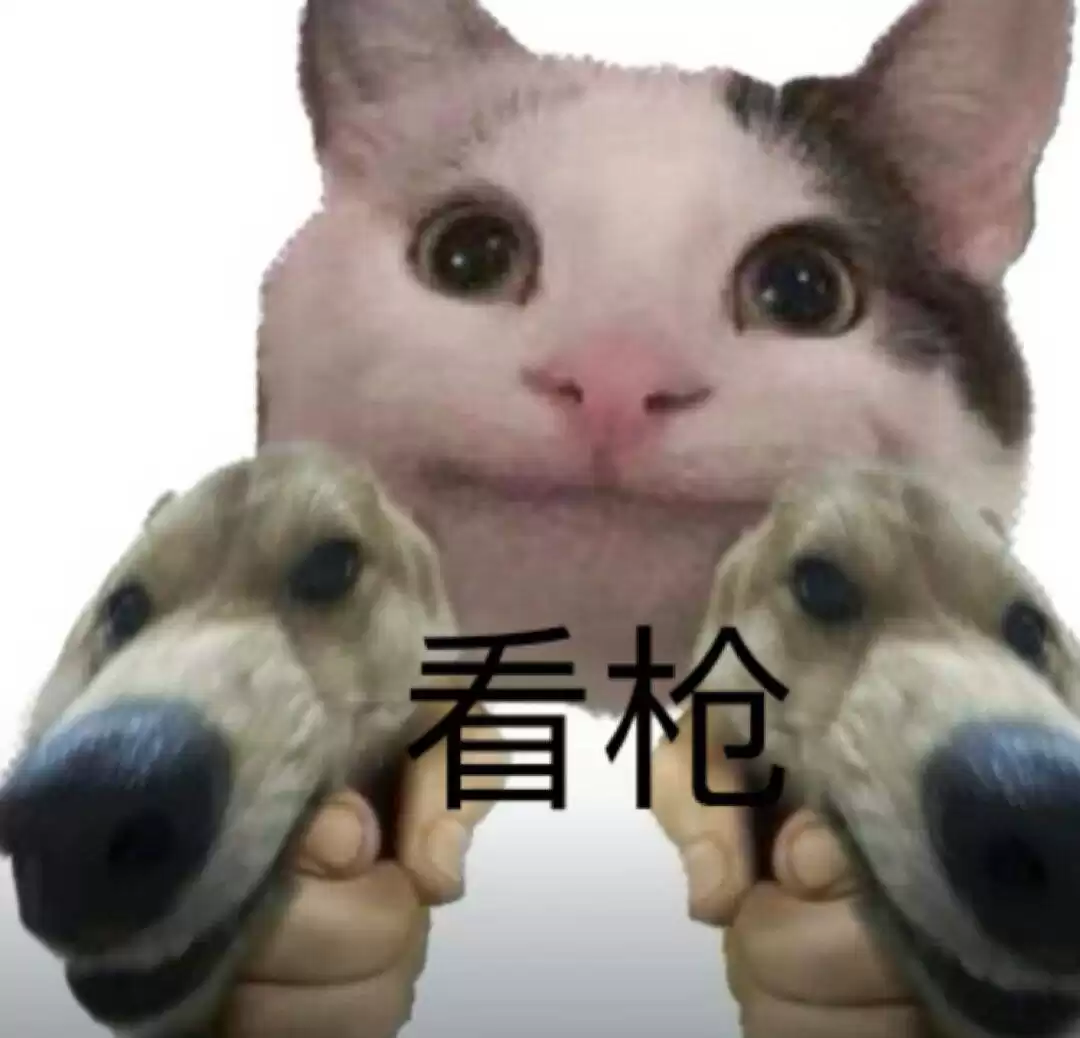 每日丑猫(3)