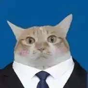 每日丑猫(3)