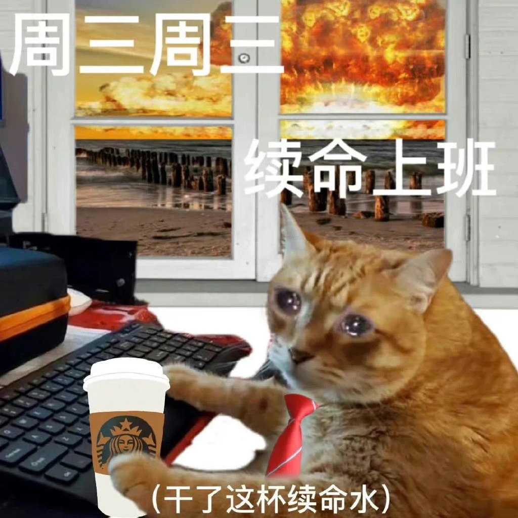 每日丑猫(3)
