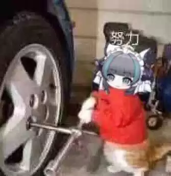 每日丑猫(3)