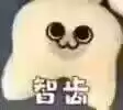 每日丑猫(3)