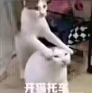 每日丑猫(3)