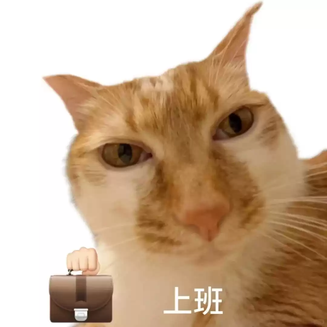 每日丑猫(7)