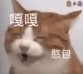 每日丑猫(7)