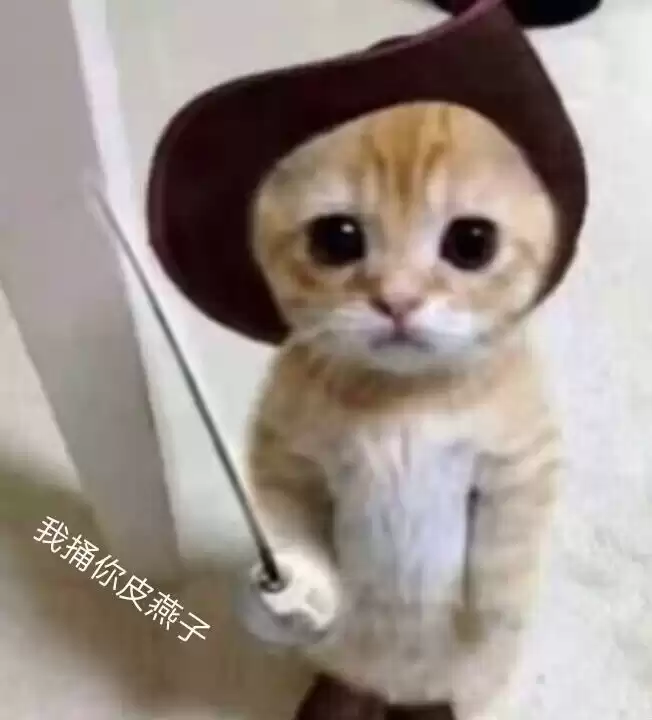 每日丑猫(7)