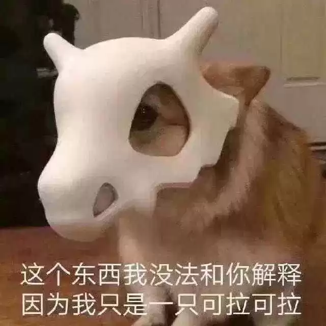 每日丑猫(7)