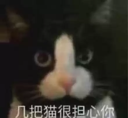 每日丑猫(7)