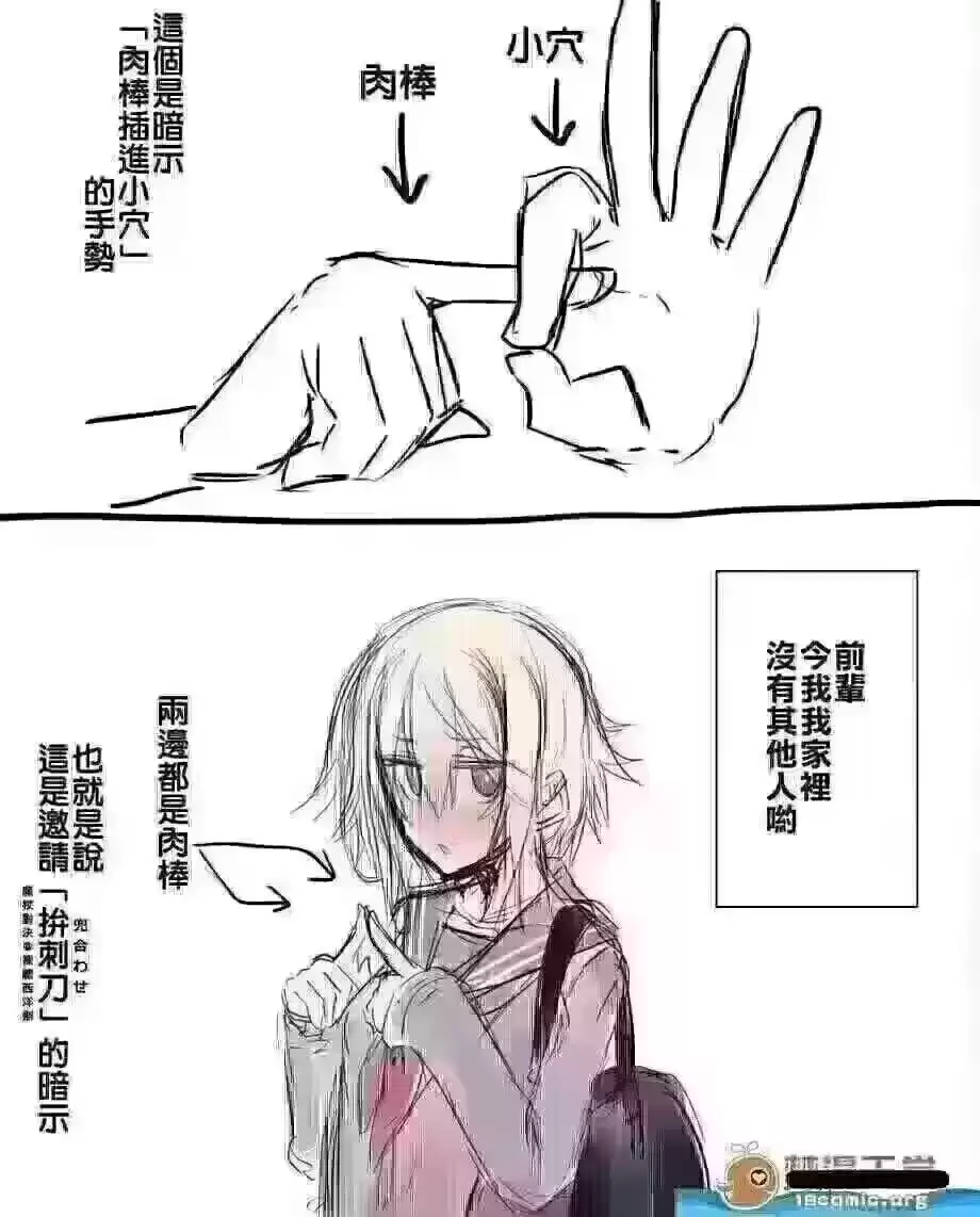 今日吊图(240)