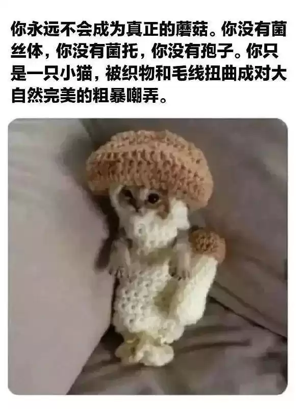 今日吊图(240)