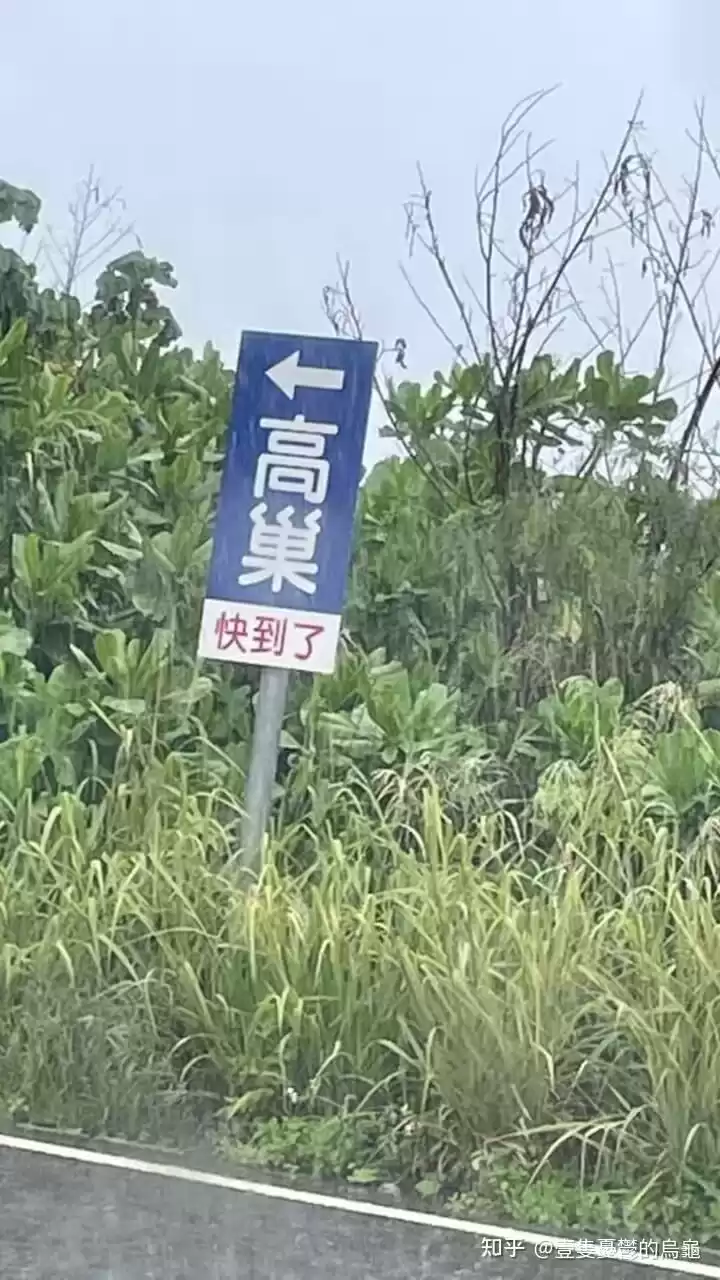 今日吊图(240)