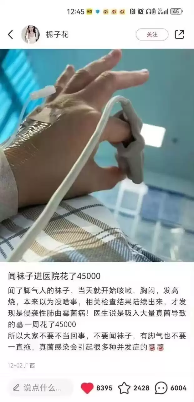 今日吊图(240)