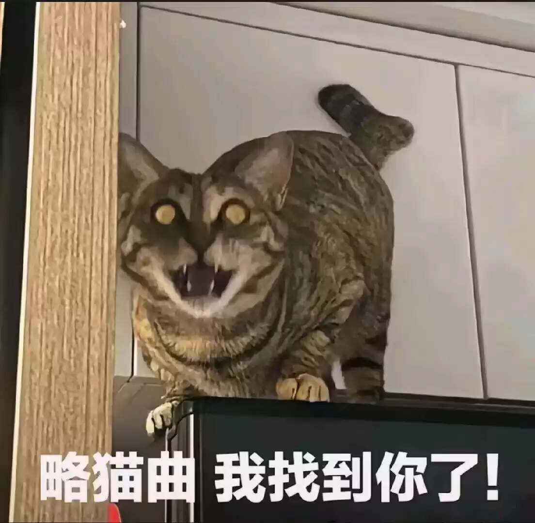 每日丑猫(10)