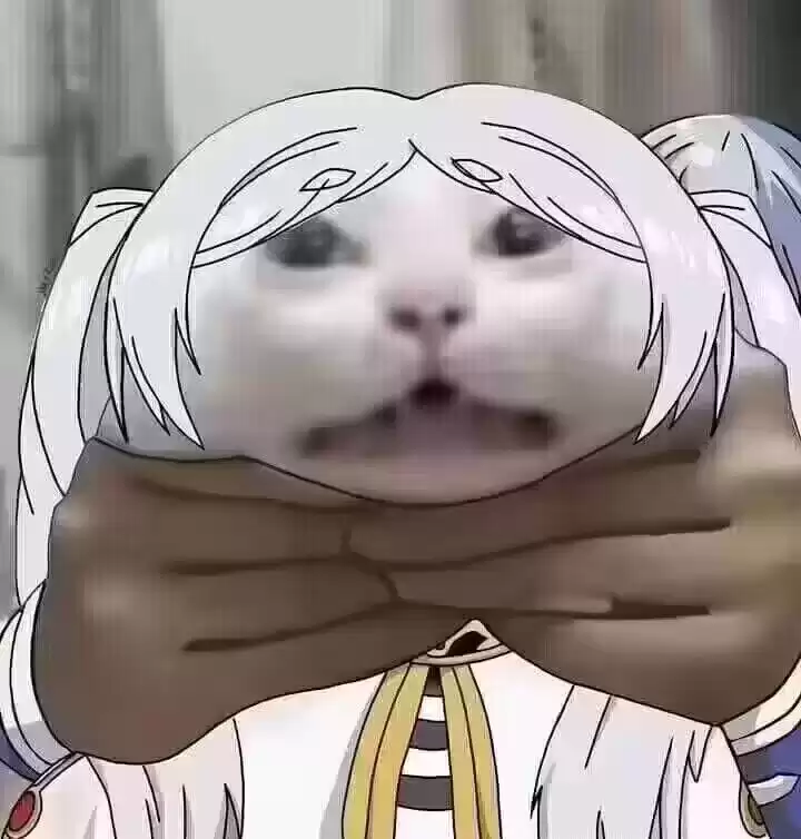 每日丑猫(10)