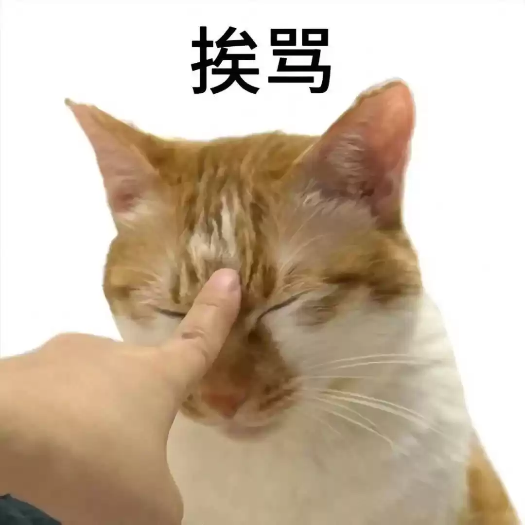 每日丑猫(17)