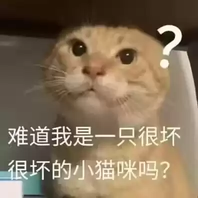 每日丑猫(13)
