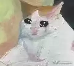 每日丑猫(16)