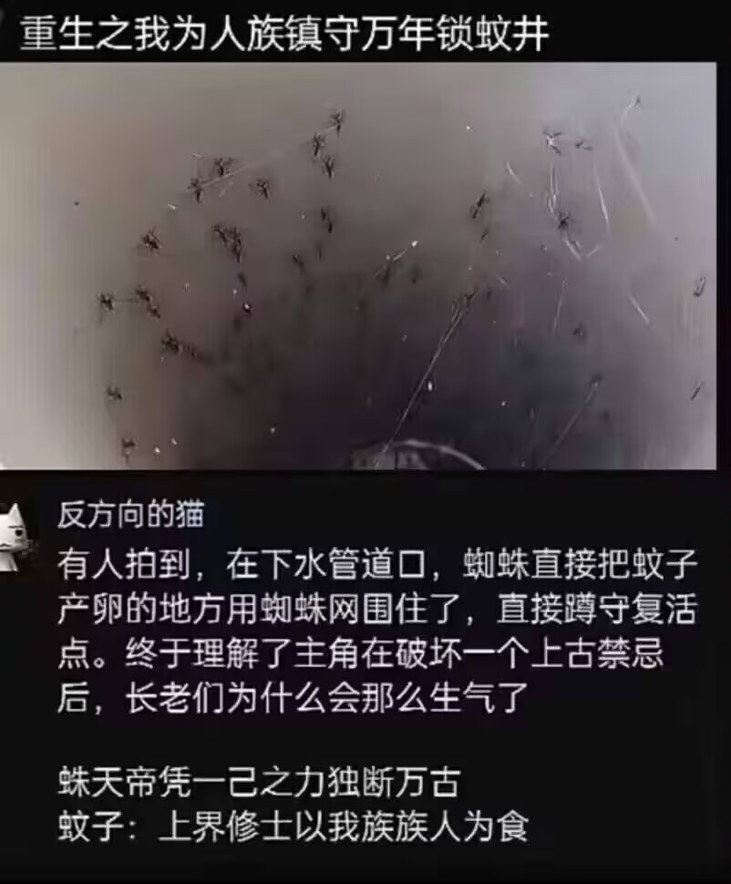 今日吊图(253)