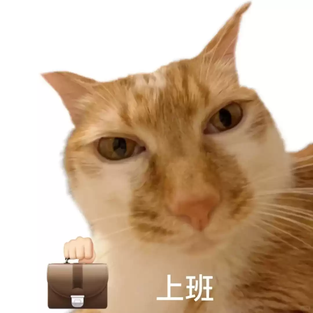 每日丑猫(17)