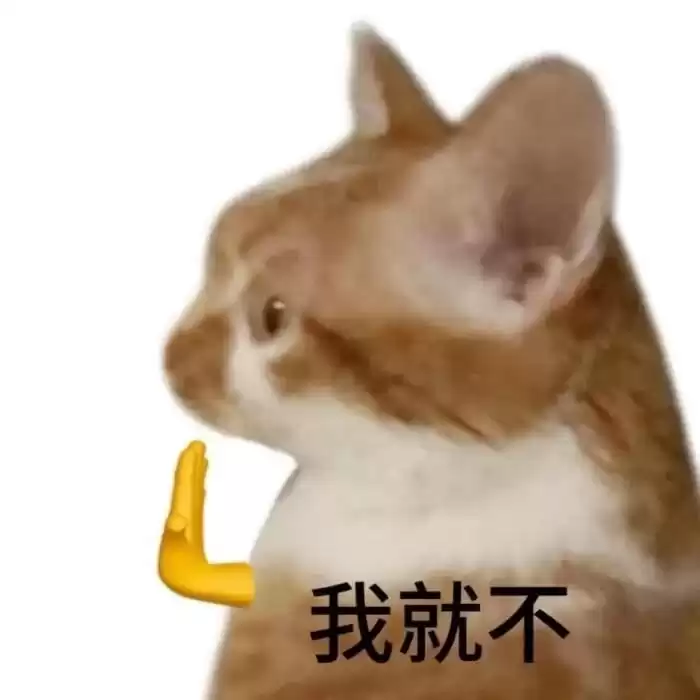 每日丑猫(17)