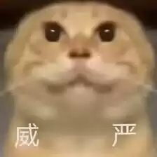 每日丑猫(18)