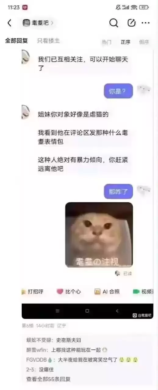 每日丑猫(18)