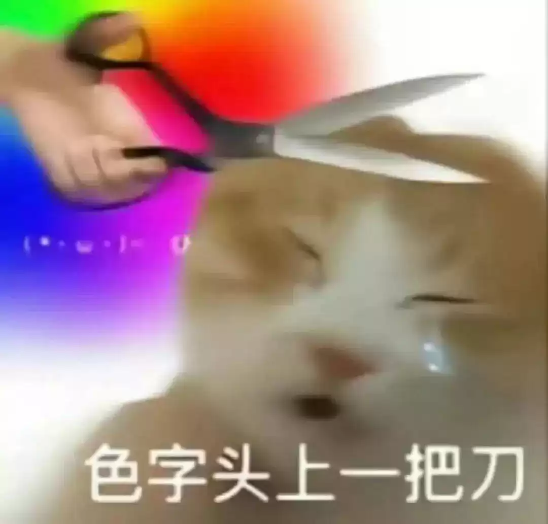 每隔日丑猫(19)
