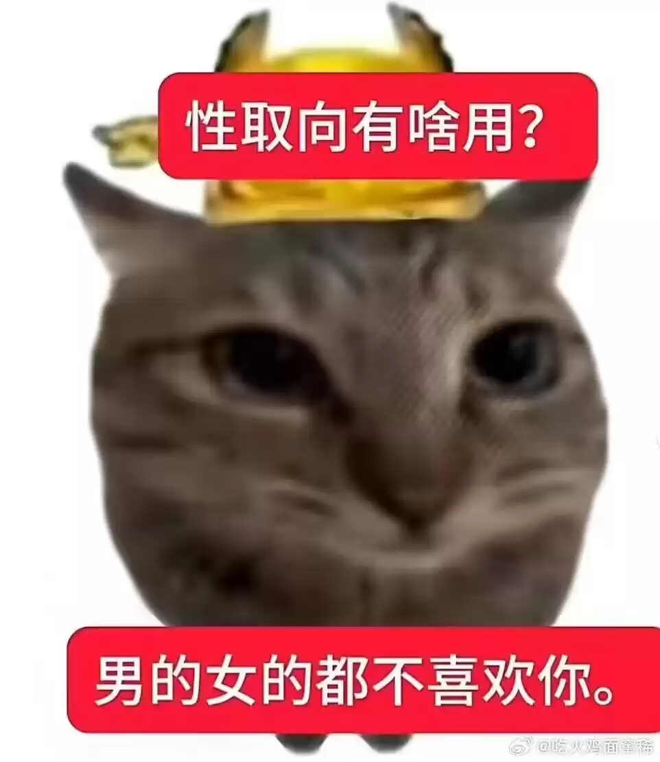 每隔日丑猫(19)