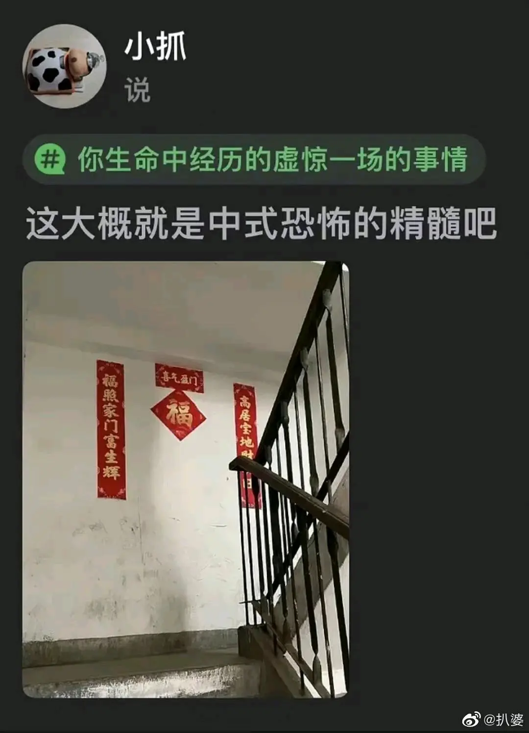 每日吊图(257)