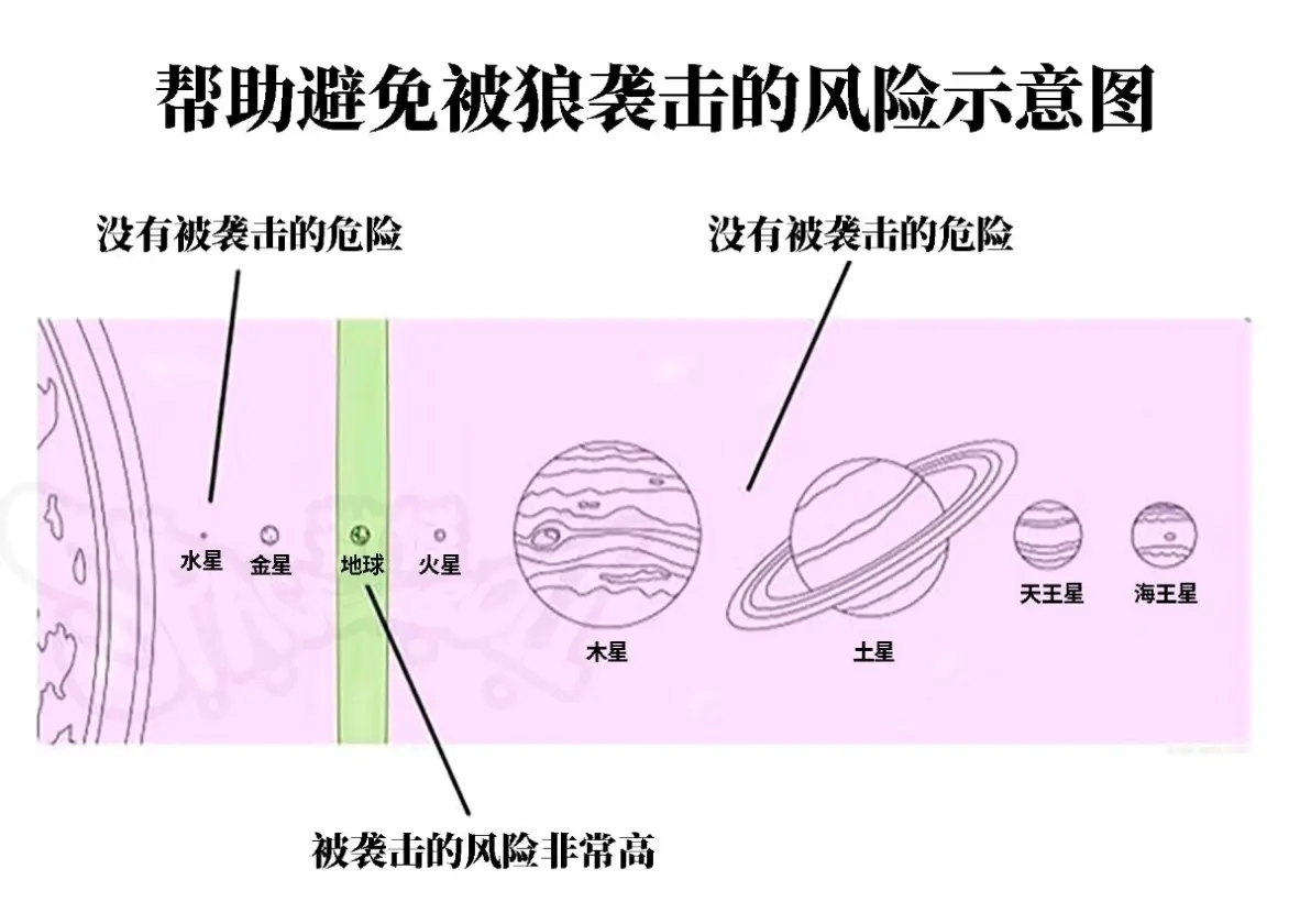 每日吊图(257)
