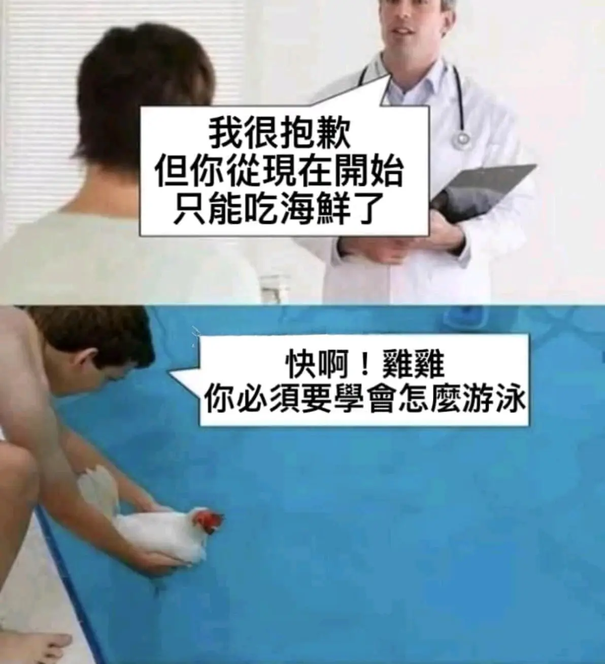 每日吊图(257)