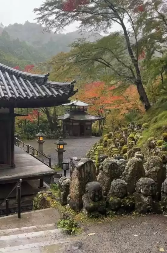 《AC影》竟成慰藉!玩家因游戏圆梦“重返”日本