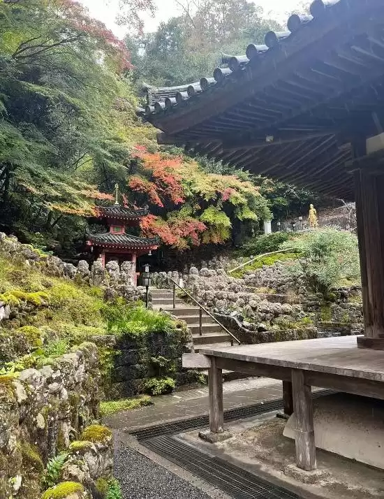 《AC影》竟成慰藉!玩家因游戏圆梦“重返”日本