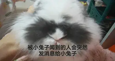 我想说一个争议很大的问题