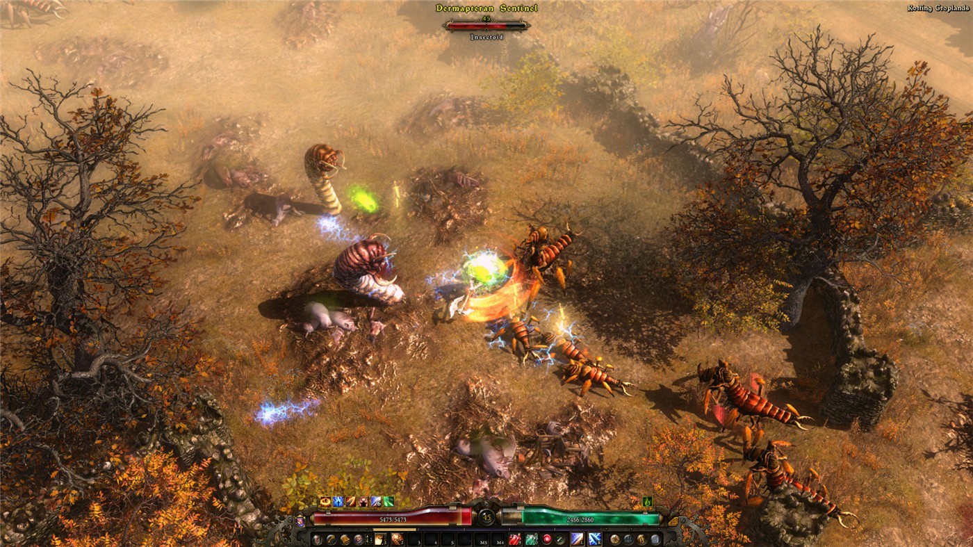 1620639894410006.jpg 恐怖黎明:终极版/Grim Dawn Definitive Edition