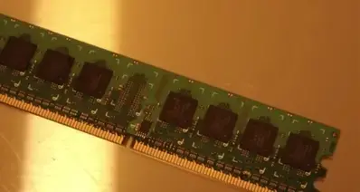 内存涨疯了比NVIDIA显卡都赚钱！大神直接把后院改成工厂