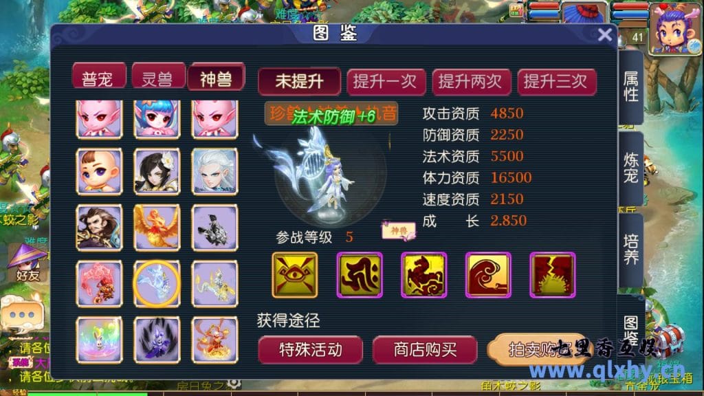 20240428174512141-10