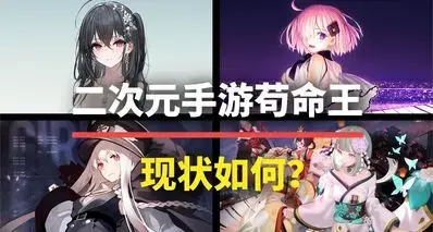 这些熬死无数同行的二游苟命王，你都玩过哪一款？