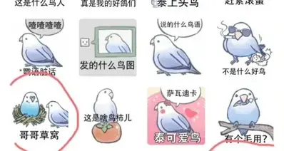 官宣一天就紧急叫停？《无限暖暖》联动小鸟芋光速翻车，紧急撤回