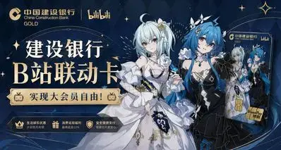 「生活向」建设银行B站联动卡，实现大会员自由！