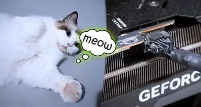 猫猫队立大功：家猫发现显卡供电接口冒烟，用户得以及时处理