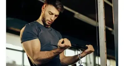 教你练手臂线条